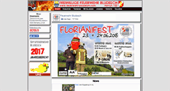 Desktop Screenshot of feuerwehr-bludesch.com